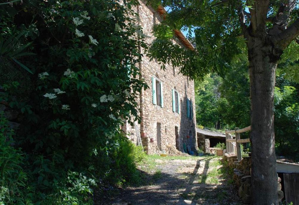 Gite De Fontfouillouse Les Plantiers Dış mekan fotoğraf